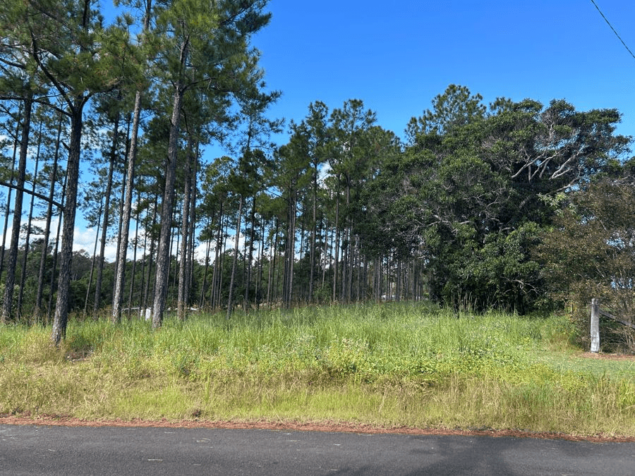 Lot 210 Arborthree Road, GLENWOOD, QLD 4570