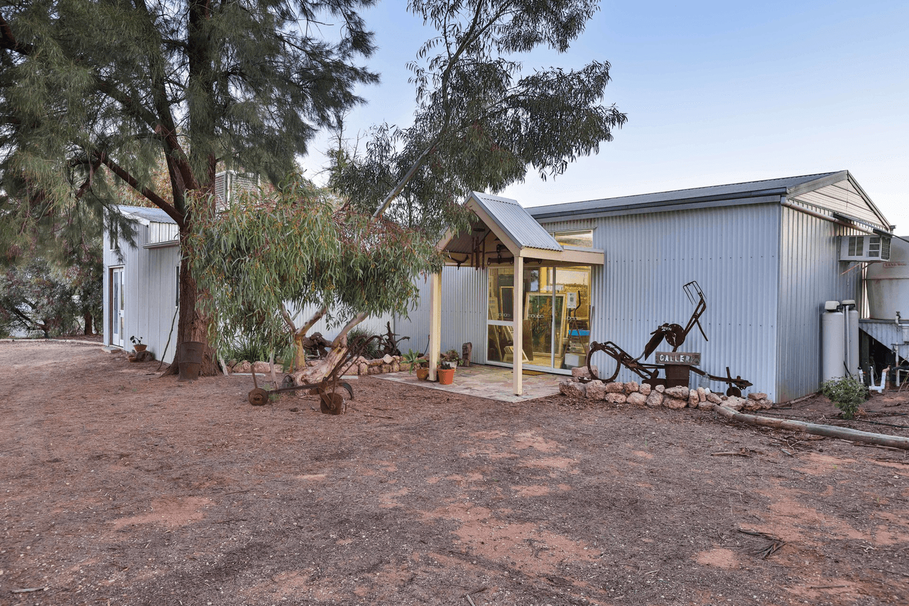 877 Cureton Avenue, Irymple, VIC 3498