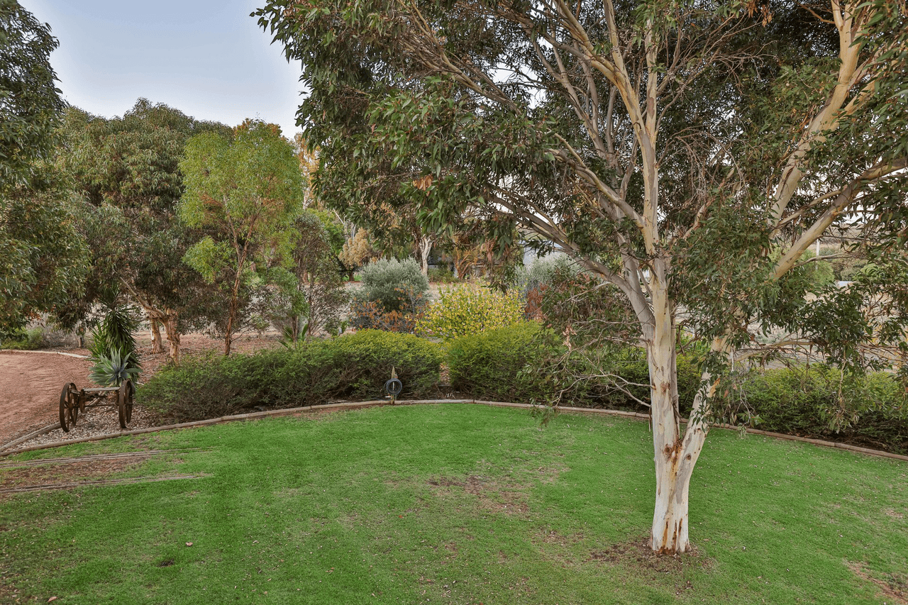 877 Cureton Avenue, Irymple, VIC 3498