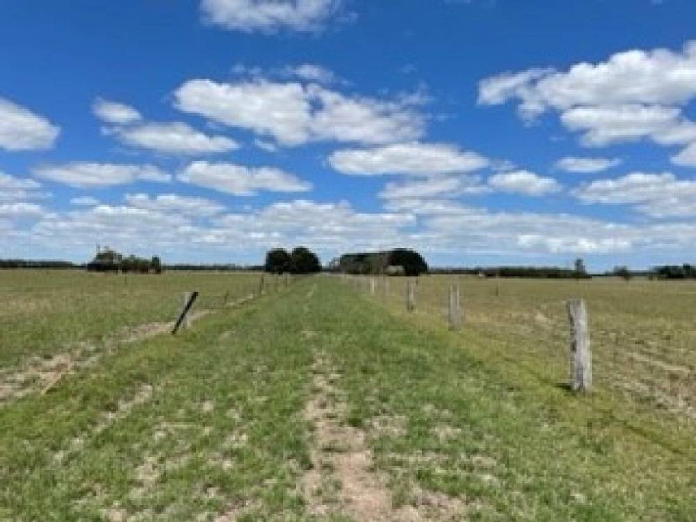 Lots 13 & 14/135 Cosgrove Road, Terang, VIC 3264