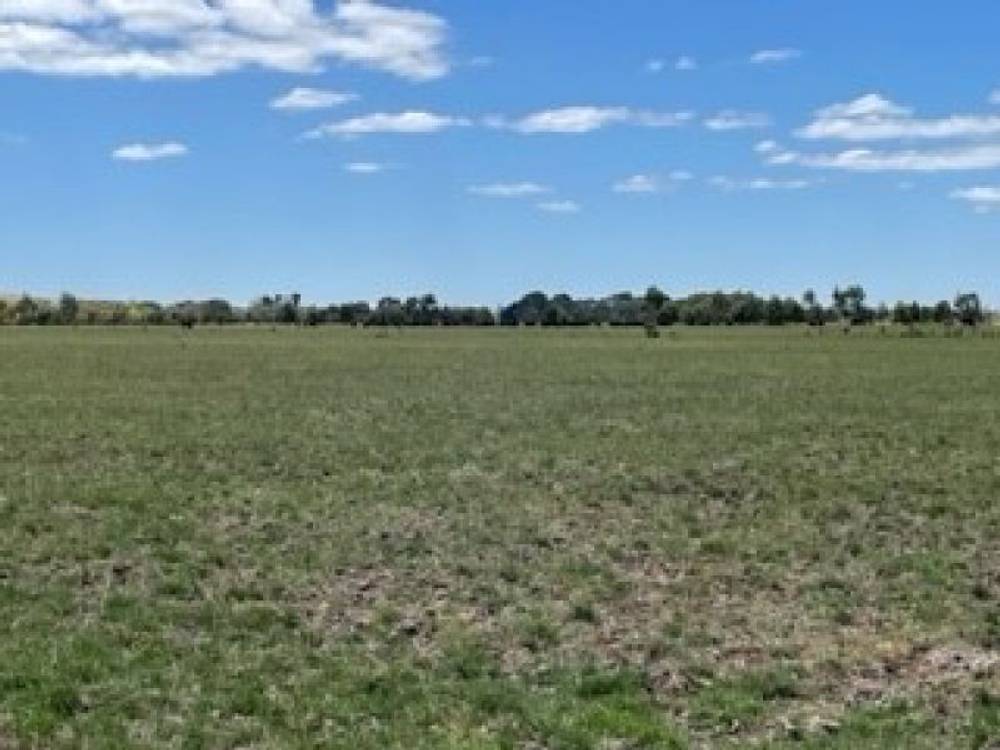 Lots 13 & 14/135 Cosgrove Road, Terang, VIC 3264