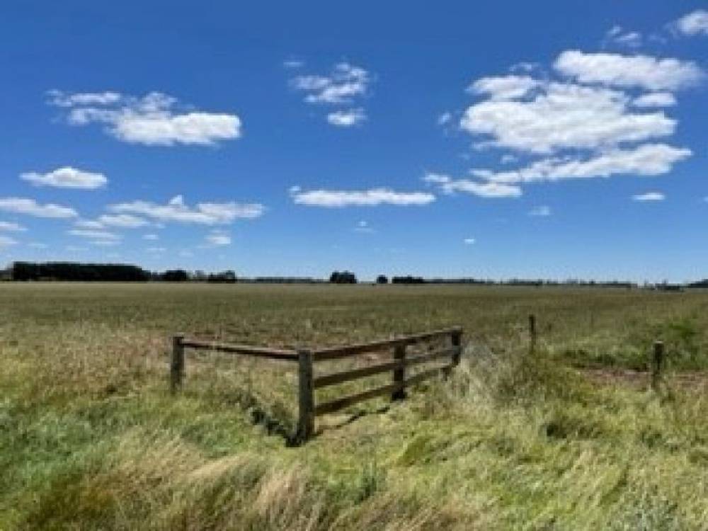 Lots 13 & 14/135 Cosgrove Road, Terang, VIC 3264