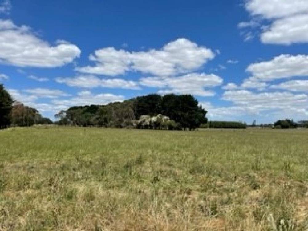 Lots 13 & 14/135 Cosgrove Road, Terang, VIC 3264