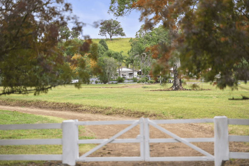 1507 Bakers Creek Road, BAKERS CREEK, NSW 2422