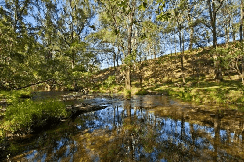 1507 Bakers Creek Road, BAKERS CREEK, NSW 2422