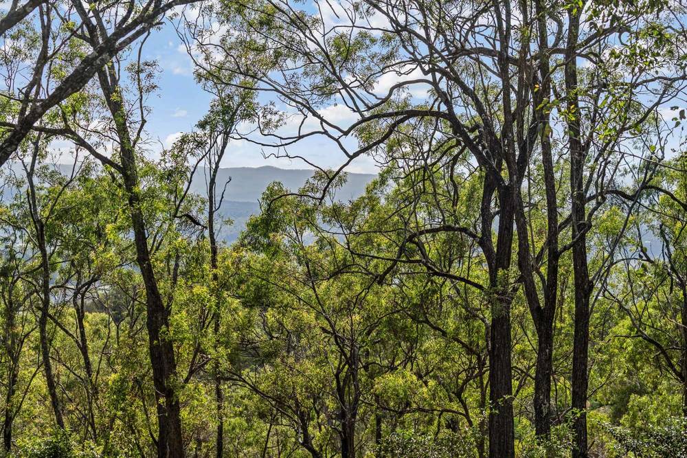 40 Berghofer Drive, WITHCOTT, QLD 4352