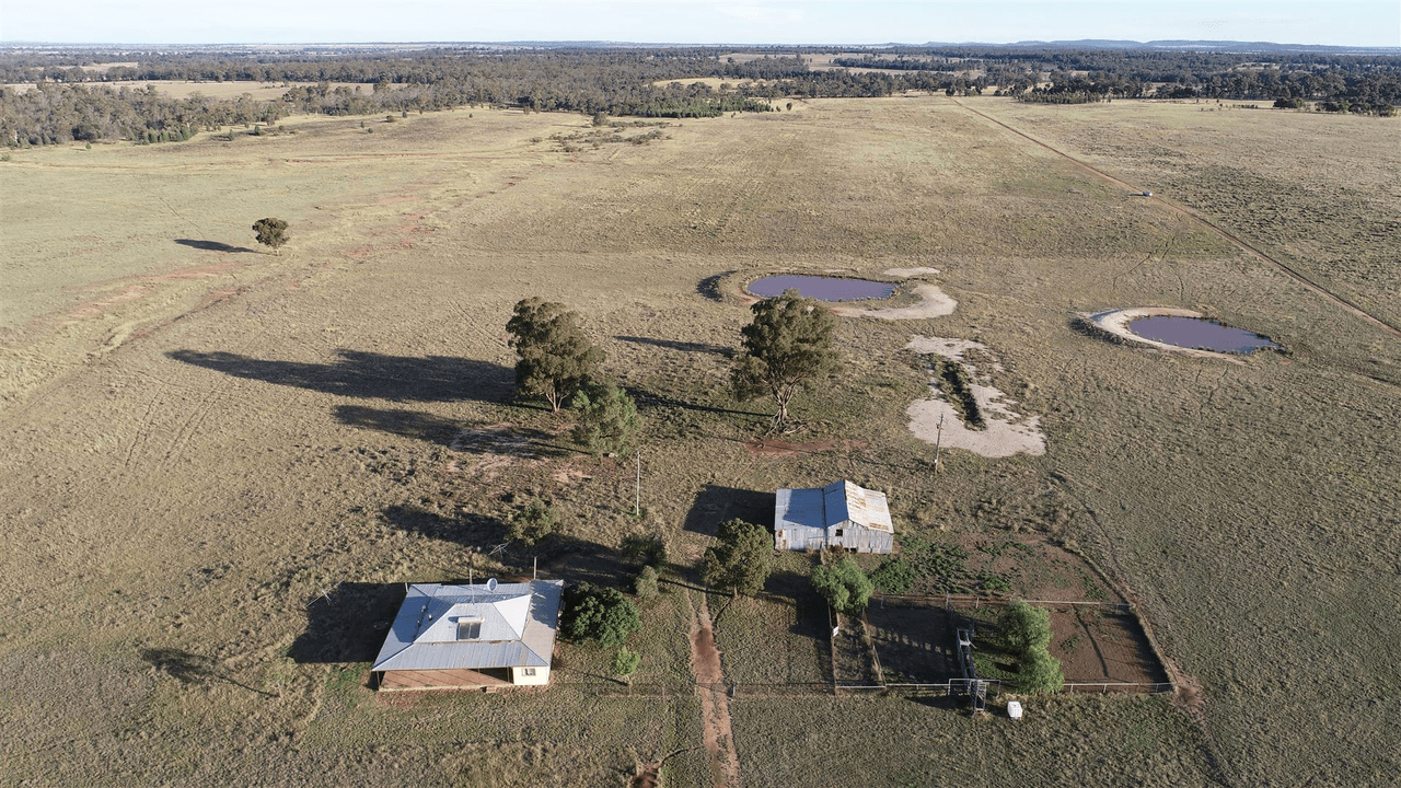 483 Five Chain Lane, Parkes, NSW 2870