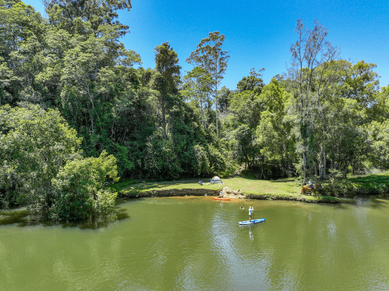 1041 South Arm Road, "Brierfield", BELLINGEN, NSW 2454