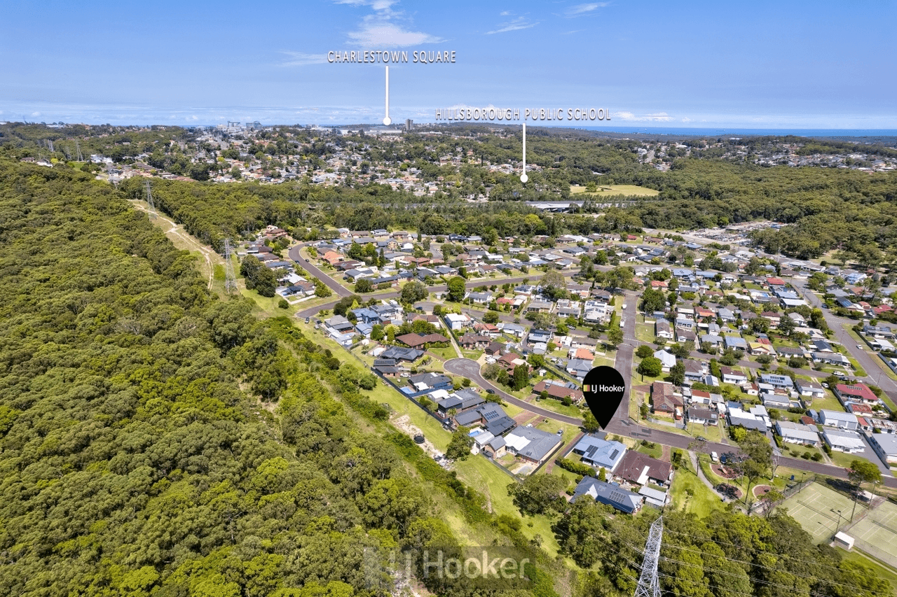 21 Percy Street, HILLSBOROUGH, NSW 2290