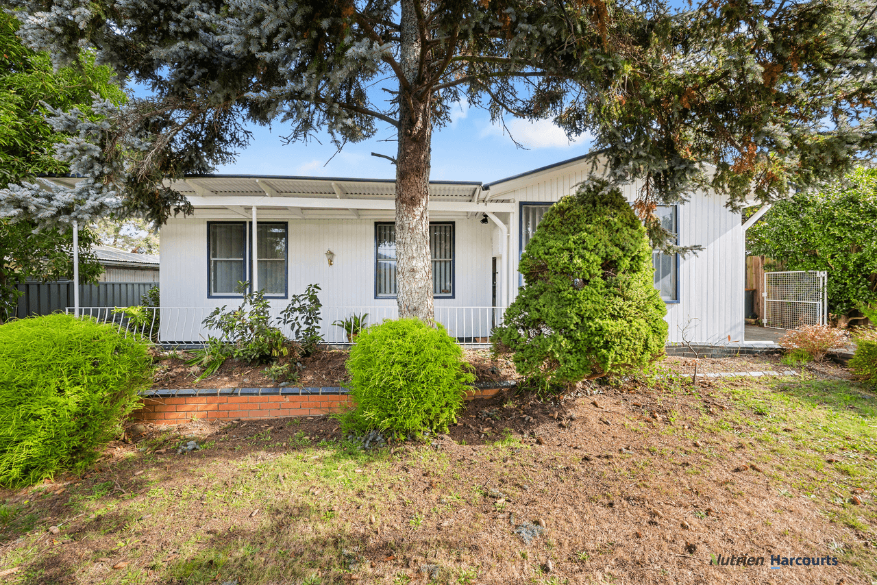 19 Hillside Avenue, EILDON, VIC 3713