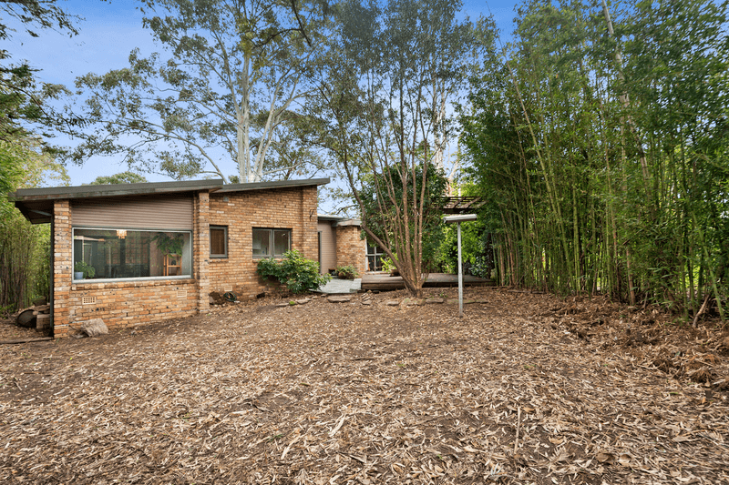 11 Bangalla Place, FORESTVILLE, NSW 2087