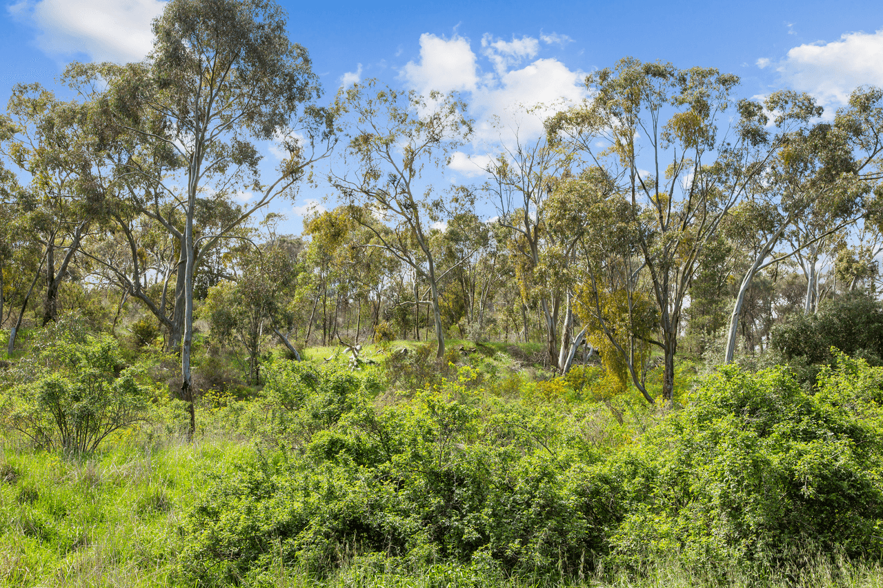 1 Warenda Road, CLARE, SA 5453