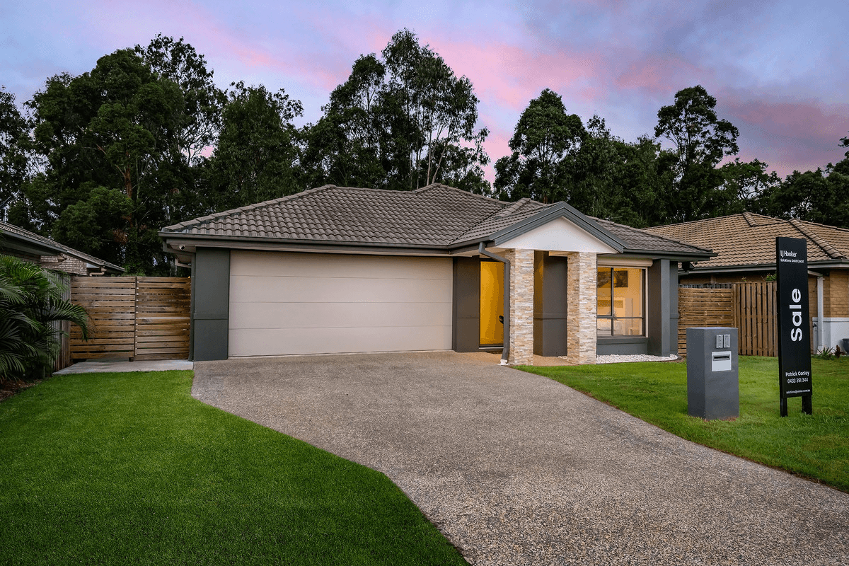 46 Runway Drive, Upper Coomera, QLD 4209