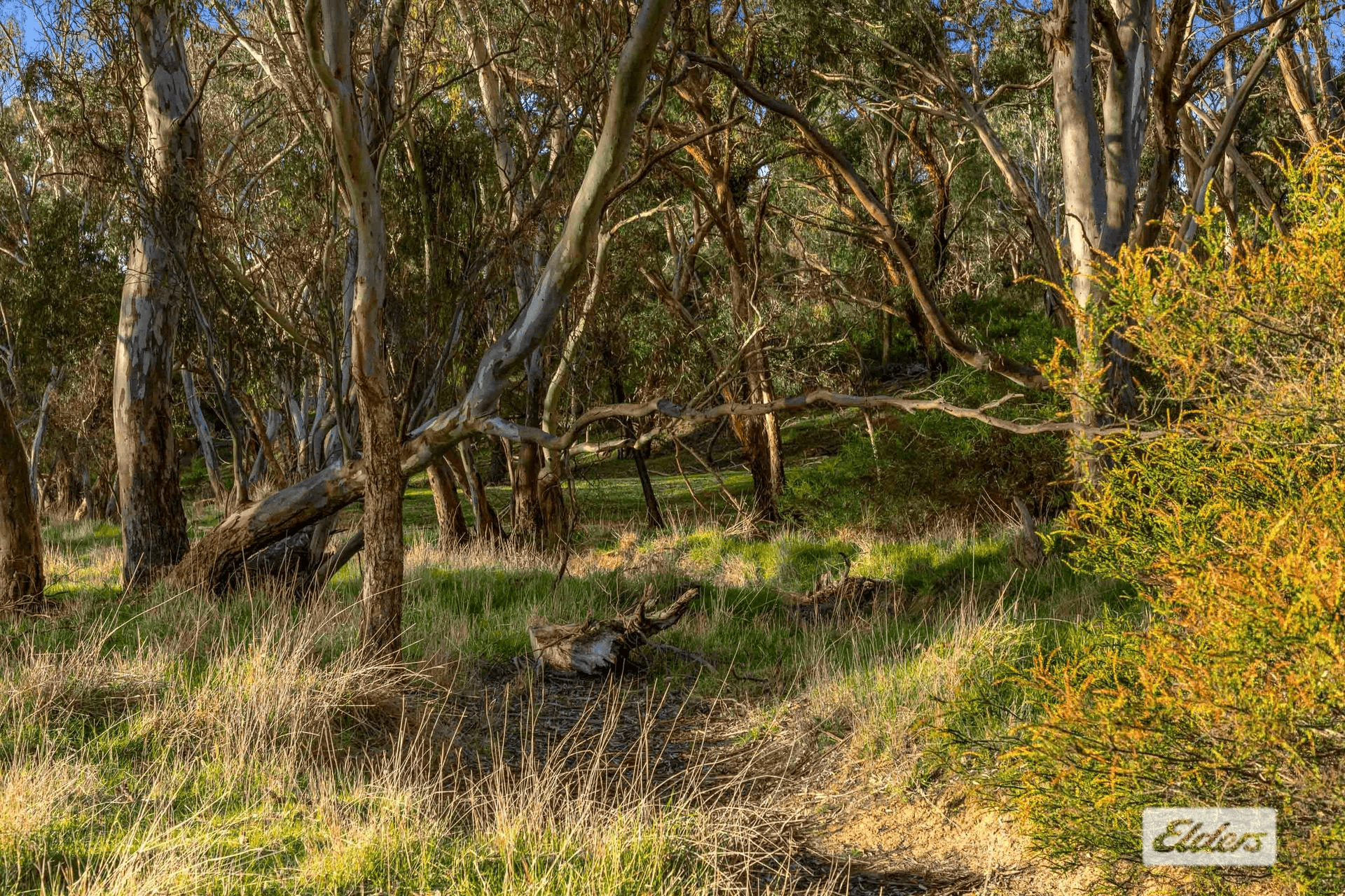 Campbells Reef Road, Moyston, VIC 3377