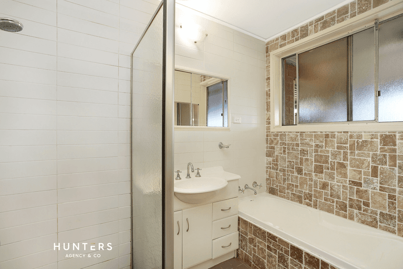 17 Greenleaf Street, Constitution Hill, NSW 2145