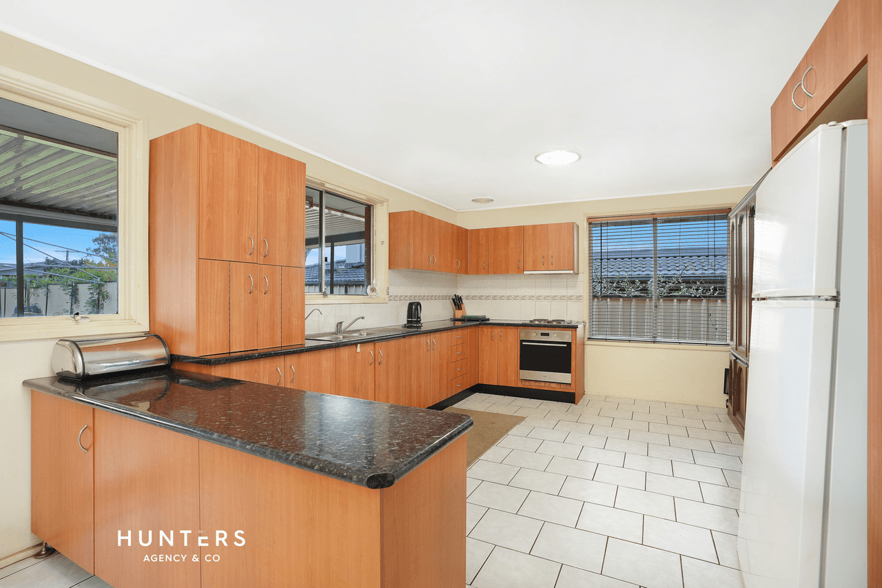 17 Greenleaf Street, Constitution Hill, NSW 2145