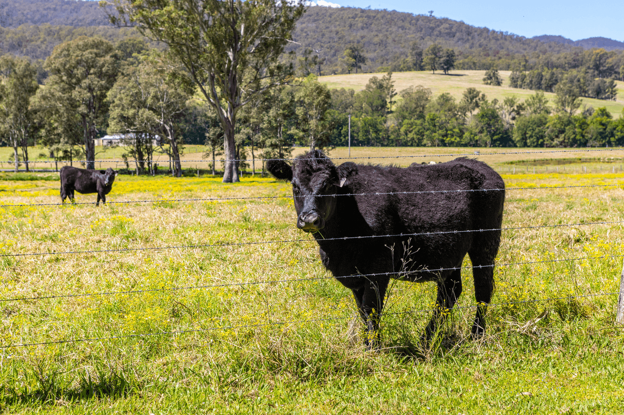 Lot 4/Lot 16 Hanleys Creek Road, TABBIL CREEK, NSW 2420