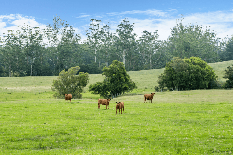 Lot 4/Lot 16 Hanleys Creek Road, TABBIL CREEK, NSW 2420