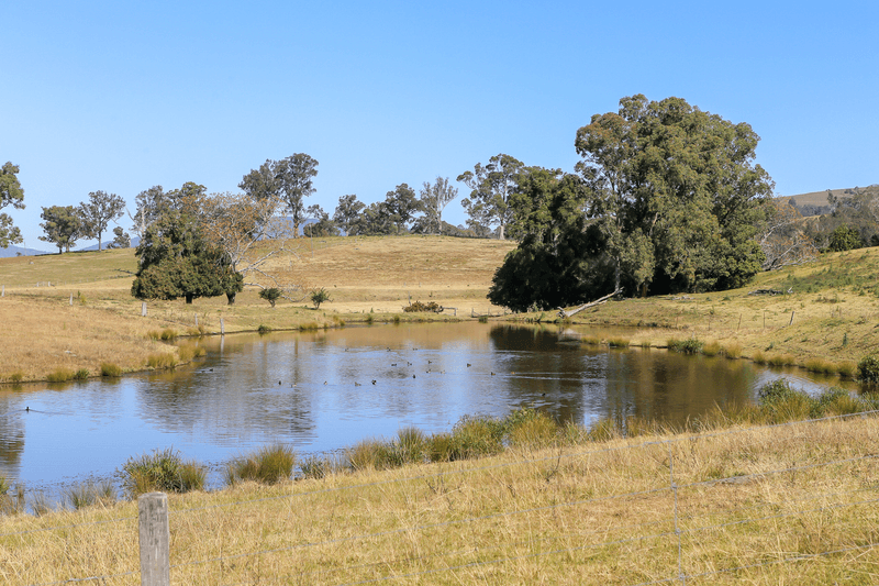 Lot 4/Lot 16 Hanleys Creek Road, TABBIL CREEK, NSW 2420