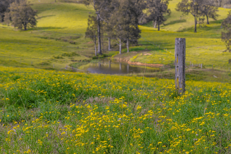 Lot 4/Lot 16 Hanleys Creek Road, TABBIL CREEK, NSW 2420