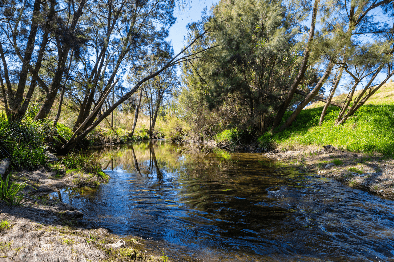 Lot 4/Lot 16 Hanleys Creek Road, TABBIL CREEK, NSW 2420