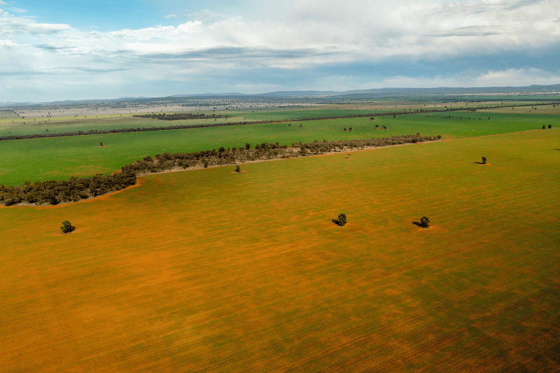 4034 Kolkilbertoo Rd, WEETHALLE, NSW 2669