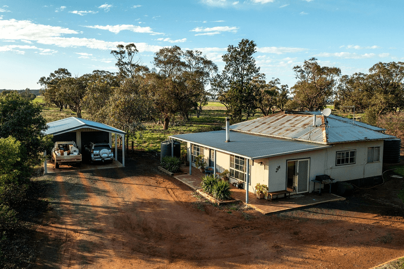 4034 Kolkilbertoo Rd, WEETHALLE, NSW 2669