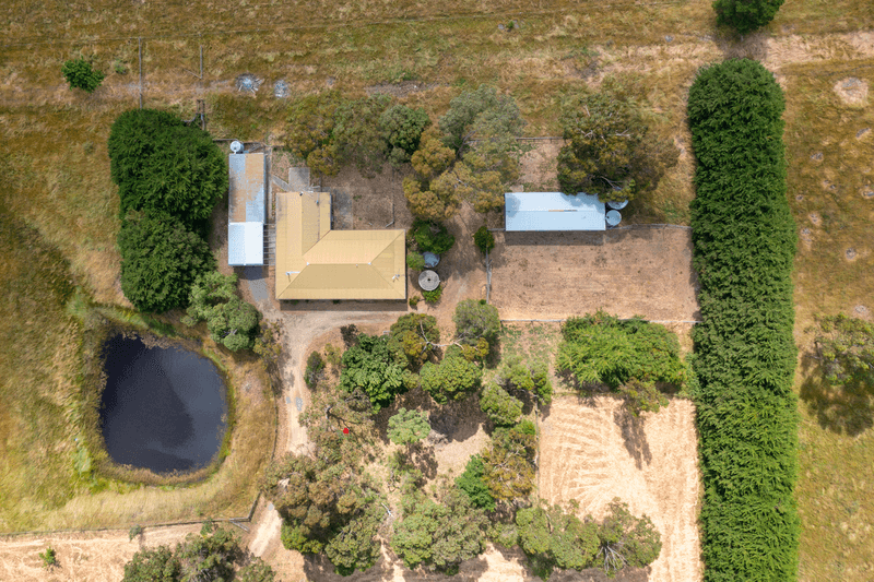 2224 Melbourne Lancefield Road, MONEGEETTA, VIC 3433