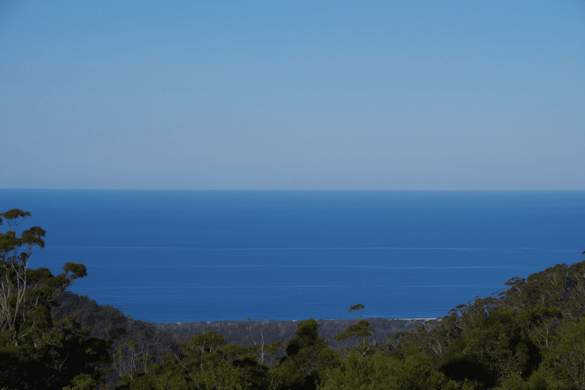 1025 Elephant Pass Road, GRAY, TAS 7215