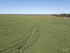 462 Micky Flat Road, Curramulka, SA 5580