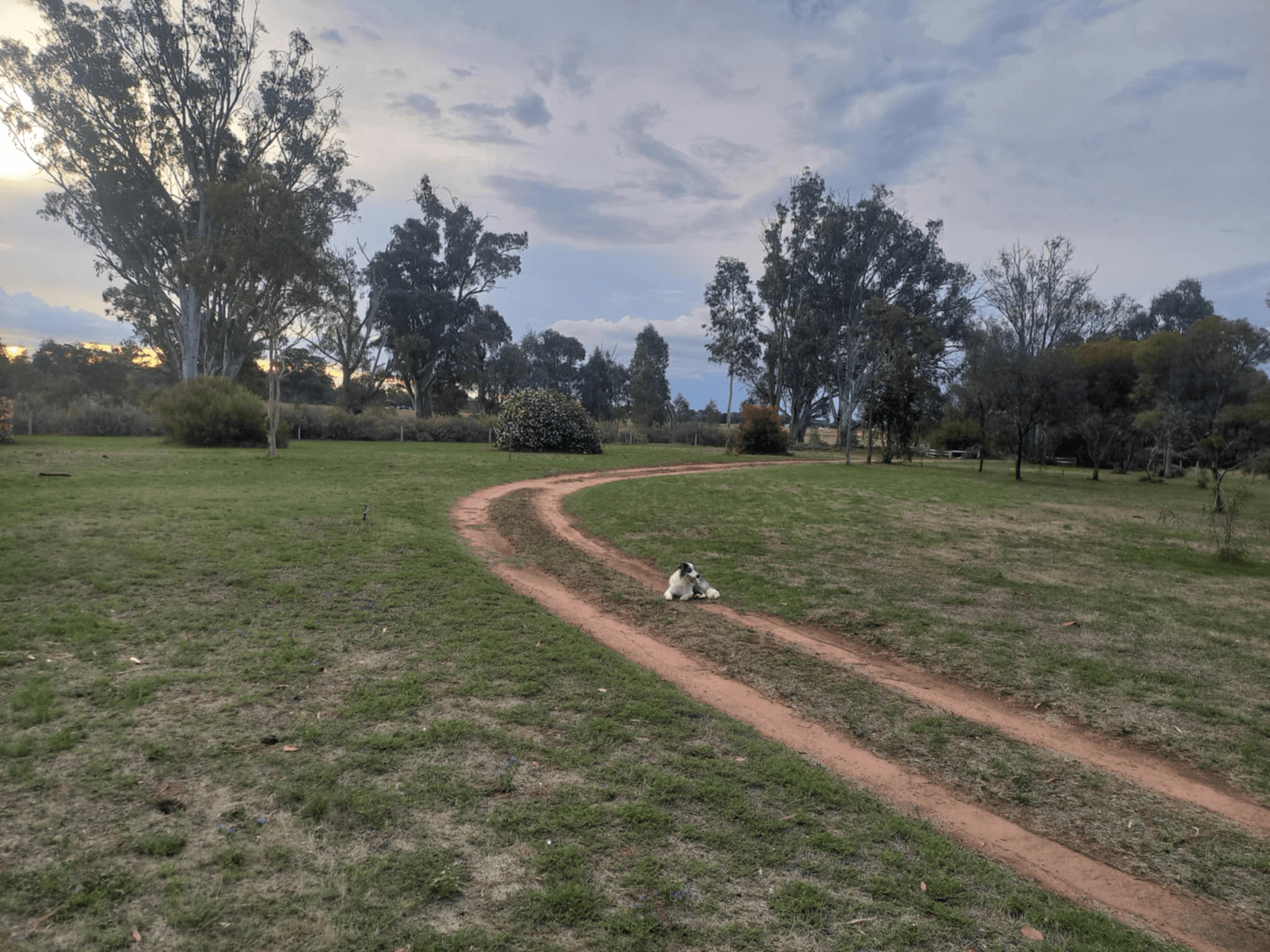 1207 Fraser Road, Niemur, NSW 2733