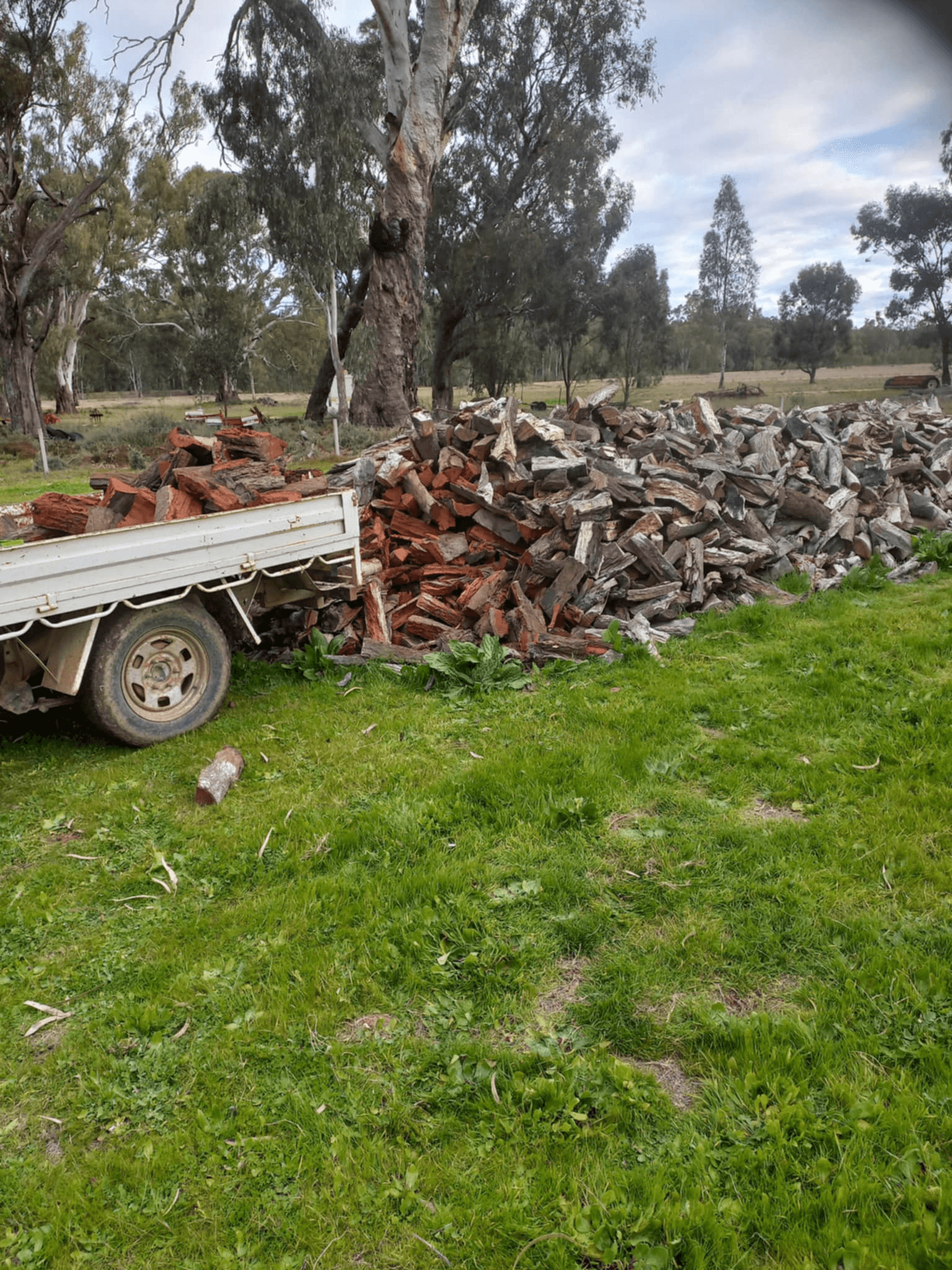 1207 Fraser Road, Niemur, NSW 2733