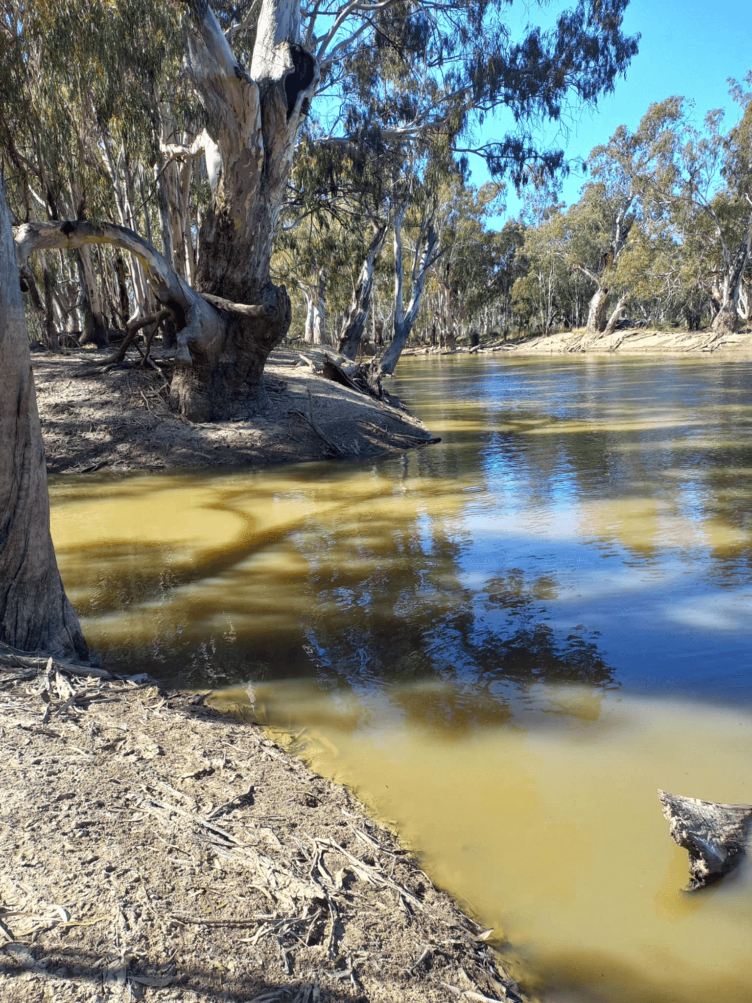 1207 Fraser Road, Niemur, NSW 2733
