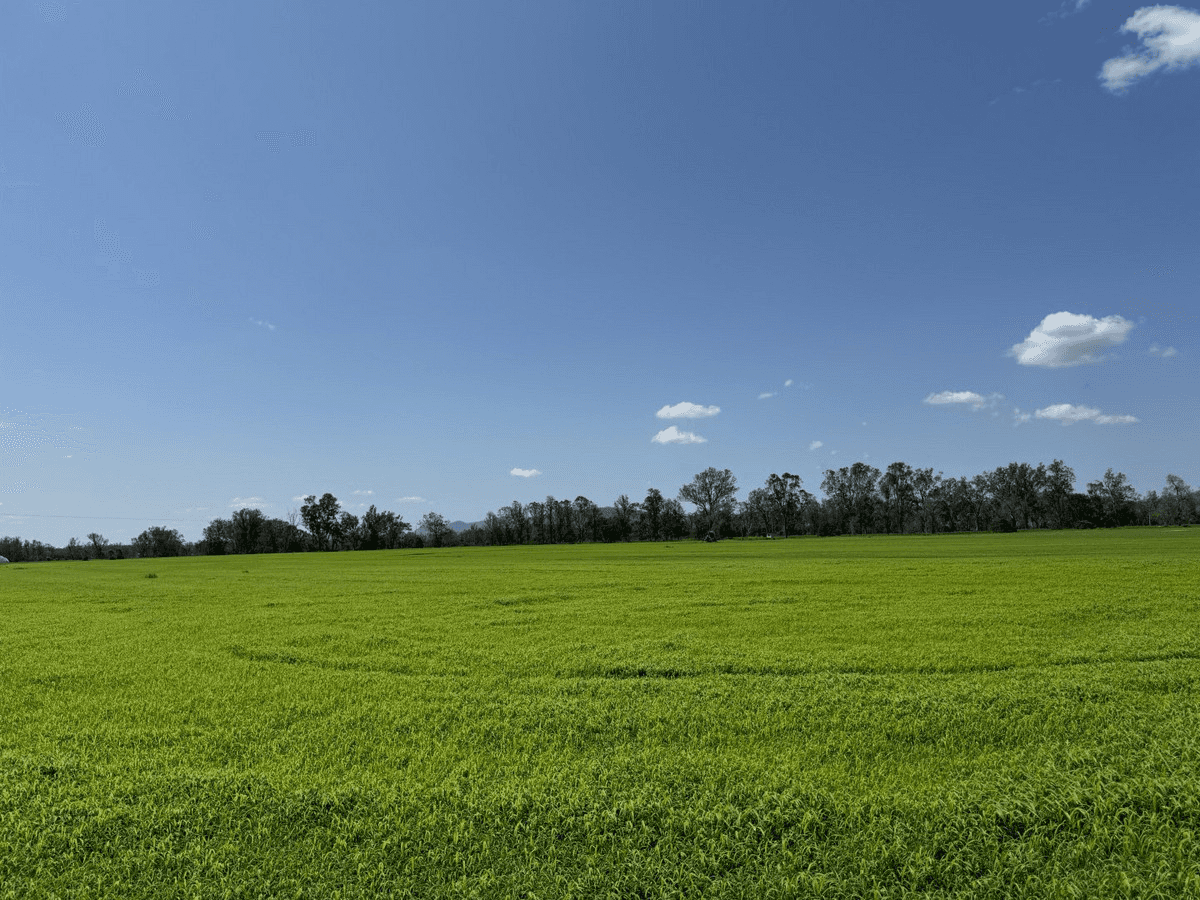 3794 Gladstone Monto Road, Boyne Valley, QLD 4680