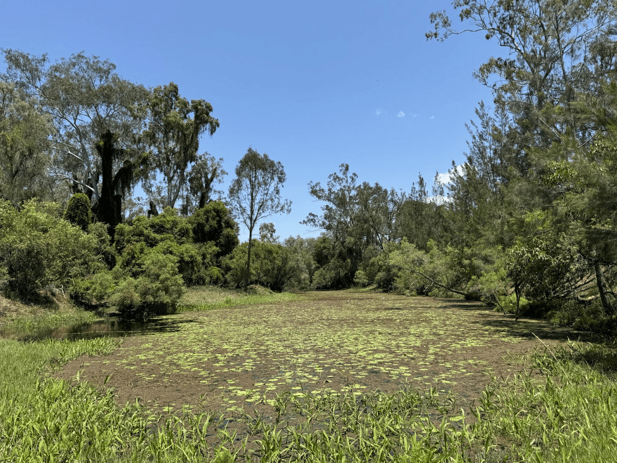 3794 Gladstone Monto Road, Boyne Valley, QLD 4680