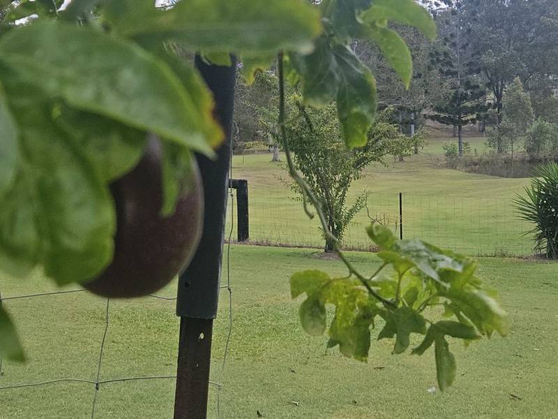 127 Cliff Jones Road, CURRA, QLD 4570