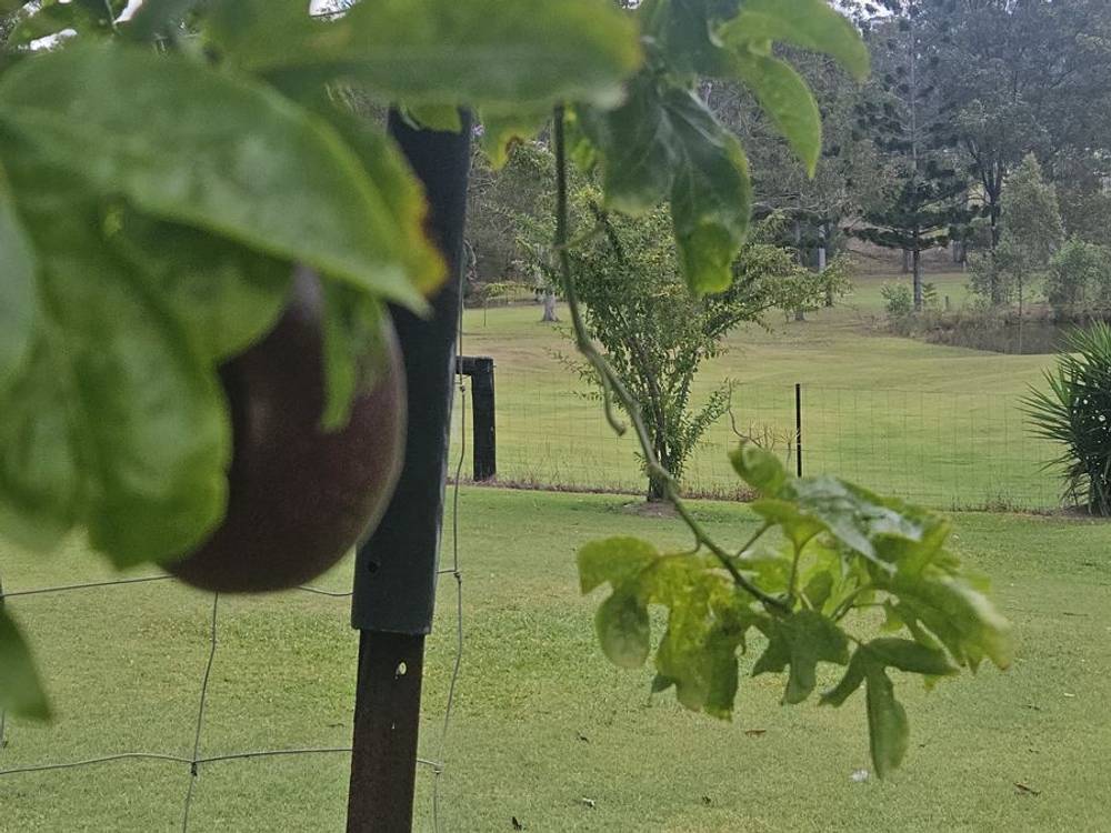 127 Cliff Jones Road, CURRA, QLD 4570