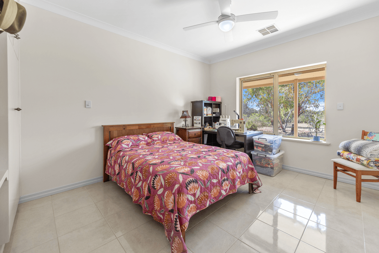 99 Tolley Road, Nuriootpa, SA 5355