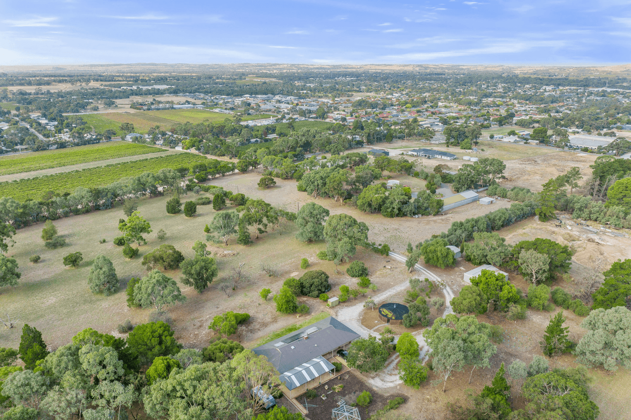 99 Tolley Road, Nuriootpa, SA 5355