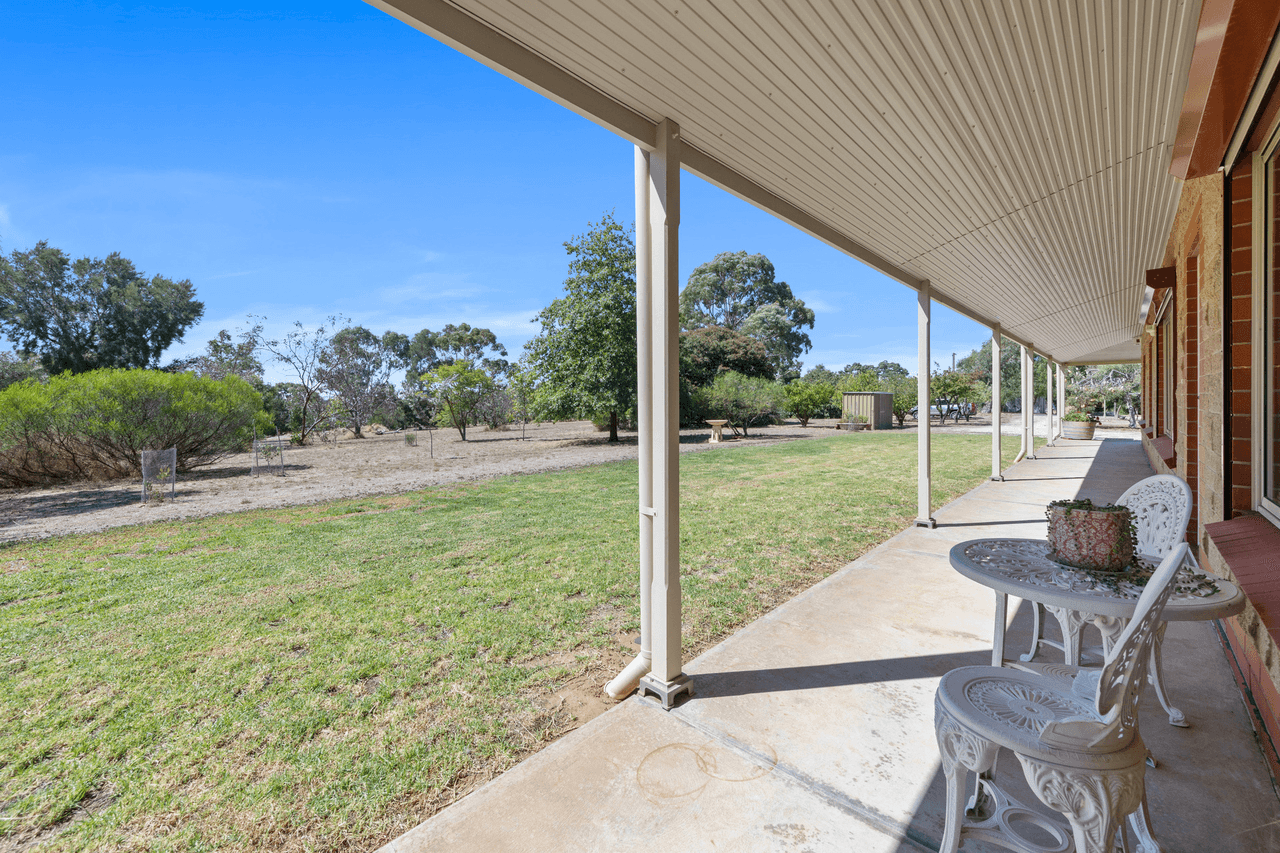 99 Tolley Road, Nuriootpa, SA 5355