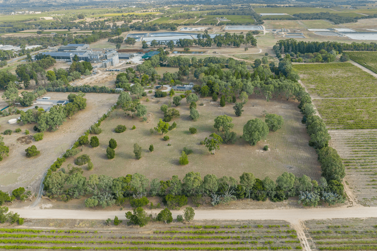 99 Tolley Road, Nuriootpa, SA 5355