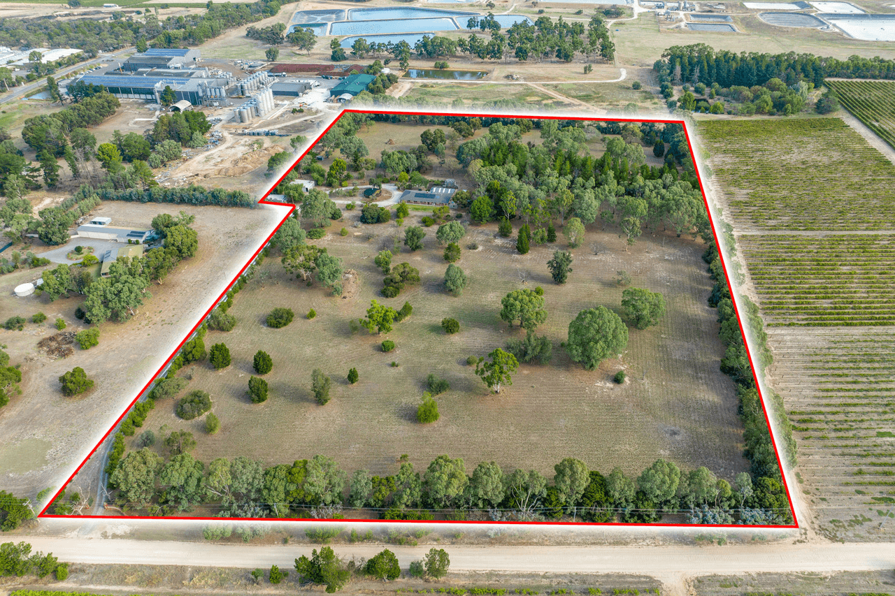 99 Tolley Road, Nuriootpa, SA 5355