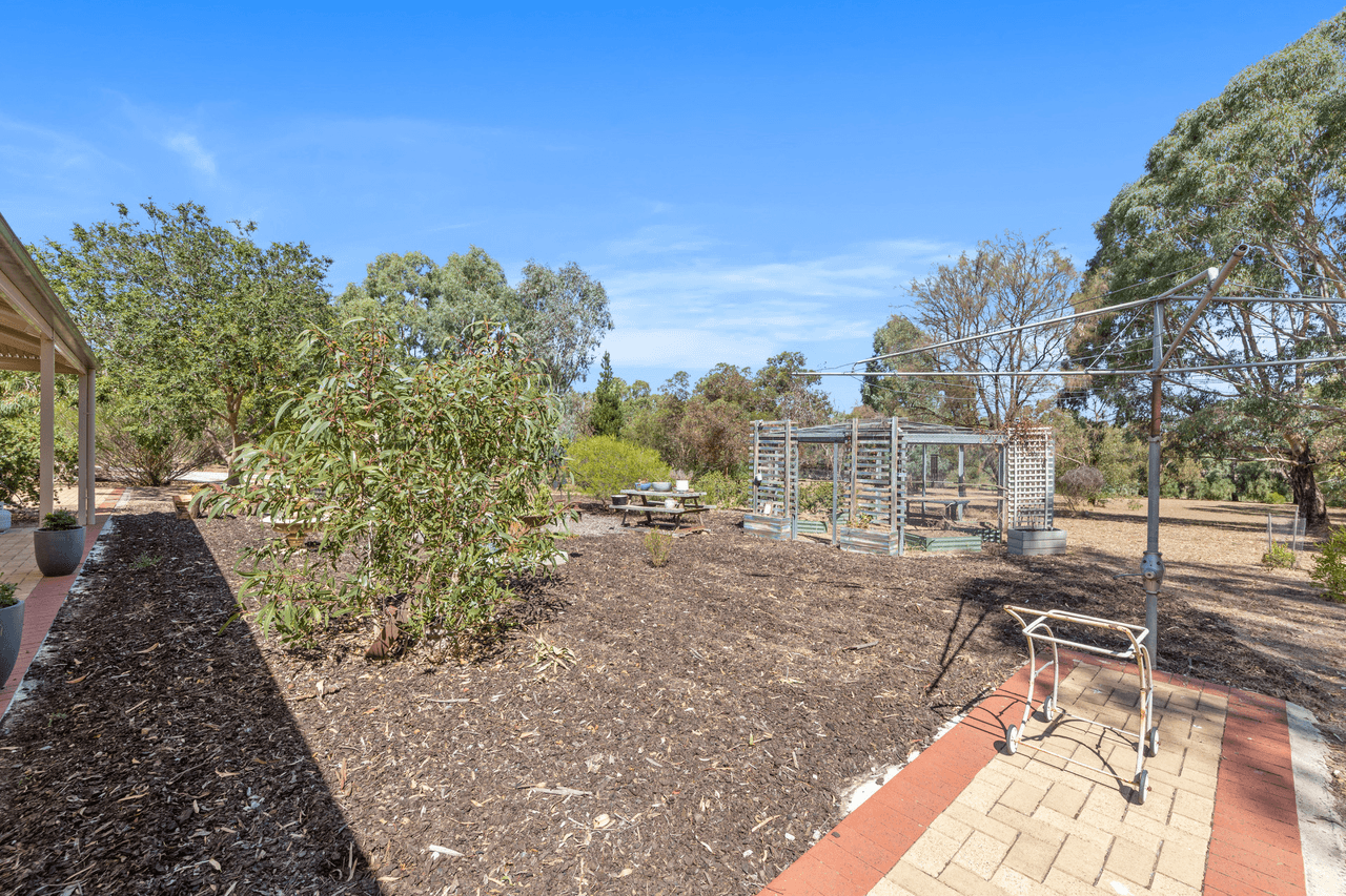 99 Tolley Road, Nuriootpa, SA 5355