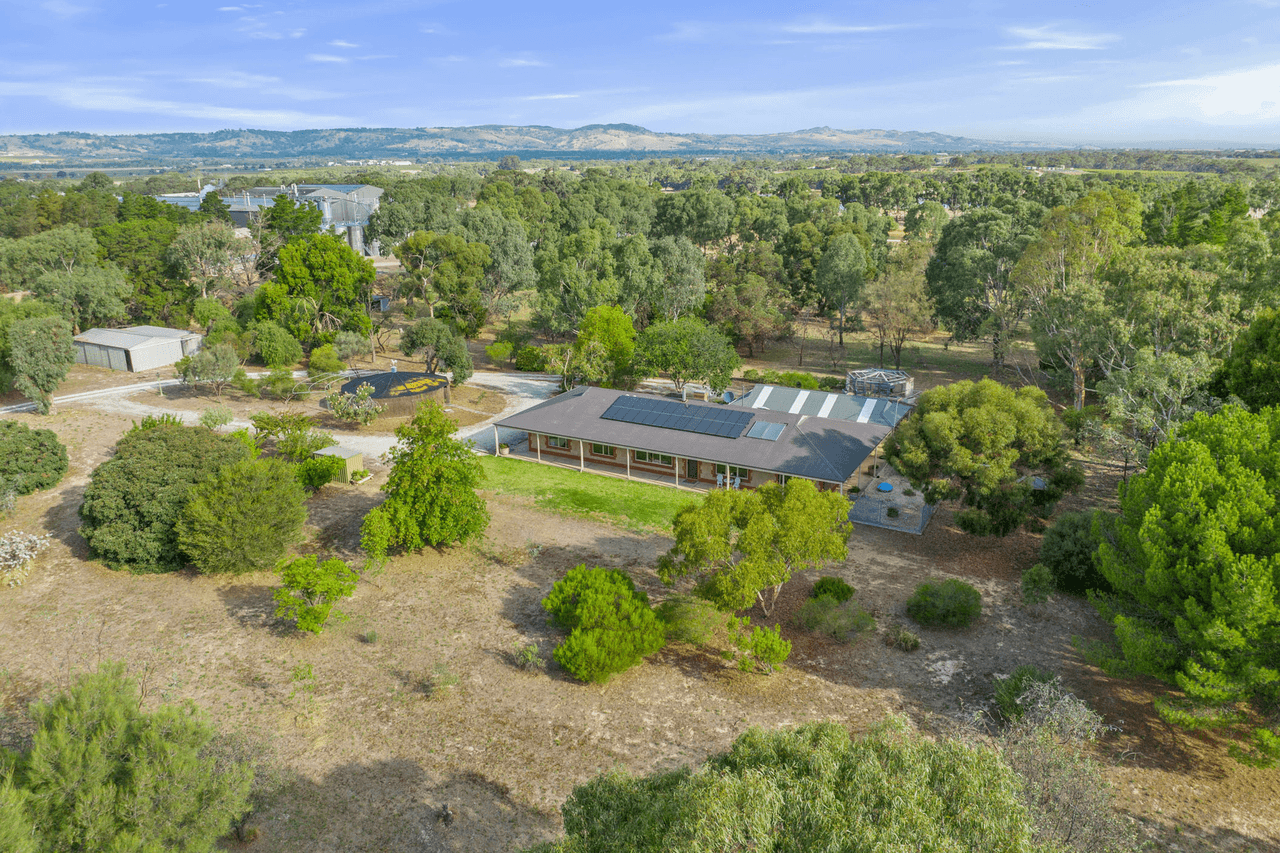 99 Tolley Road, Nuriootpa, SA 5355