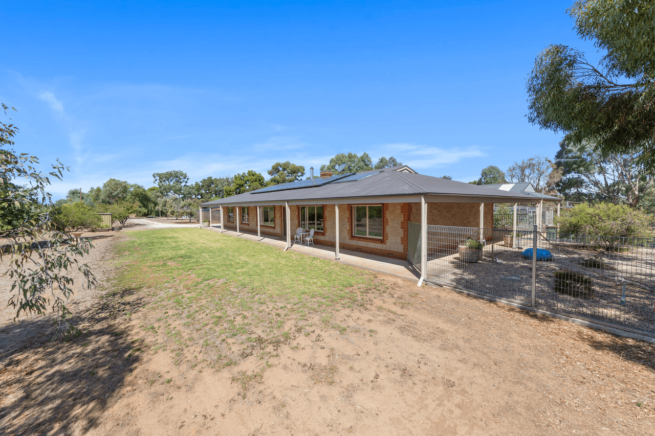 99 Tolley Road, Nuriootpa, SA 5355