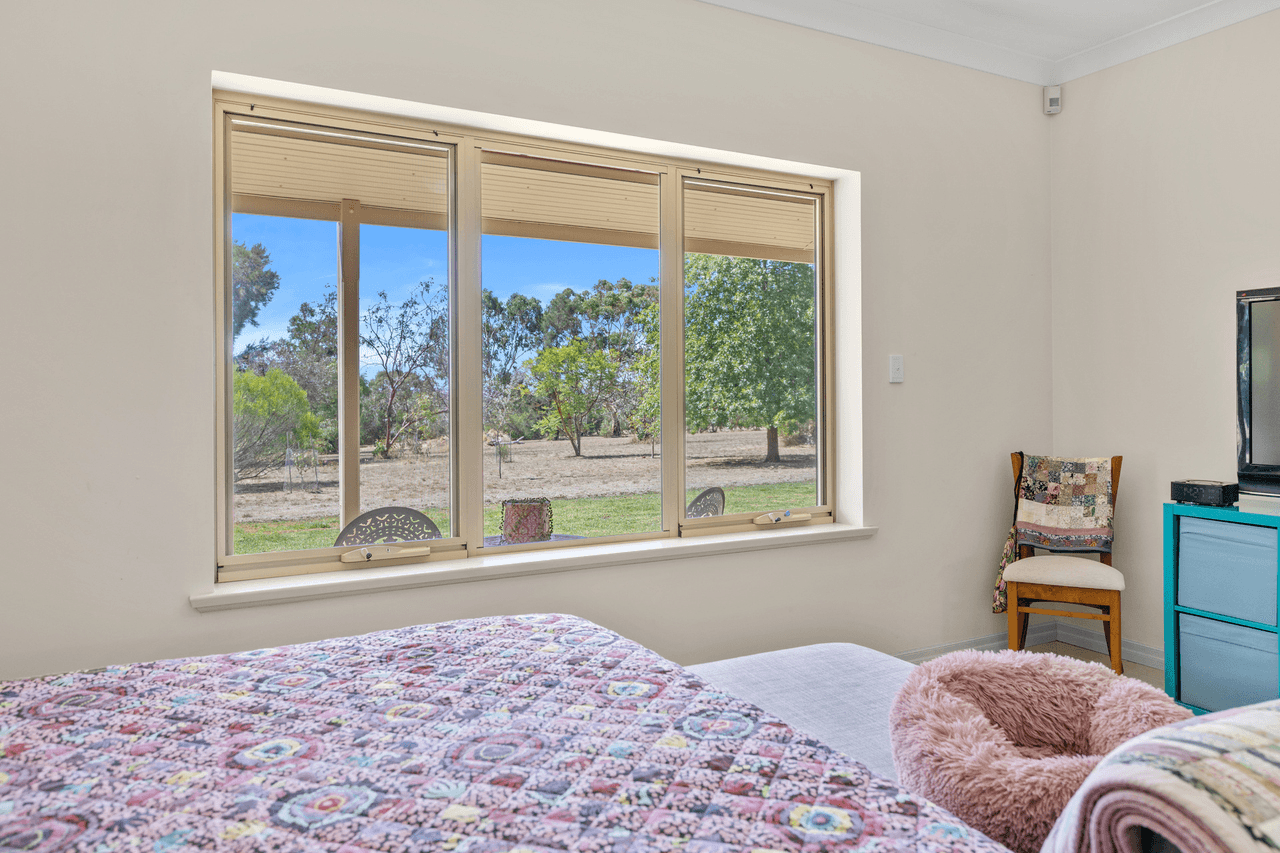99 Tolley Road, Nuriootpa, SA 5355