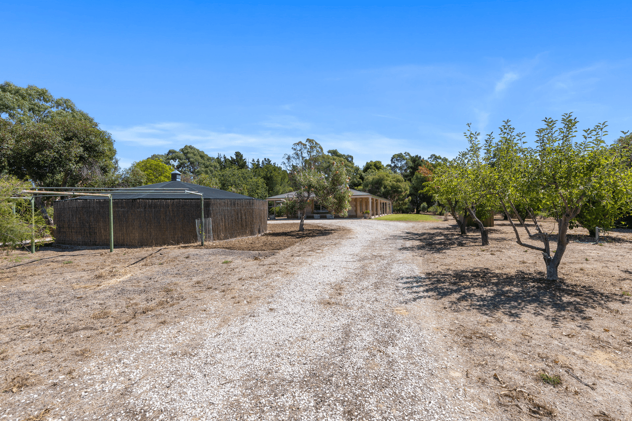 99 Tolley Road, Nuriootpa, SA 5355