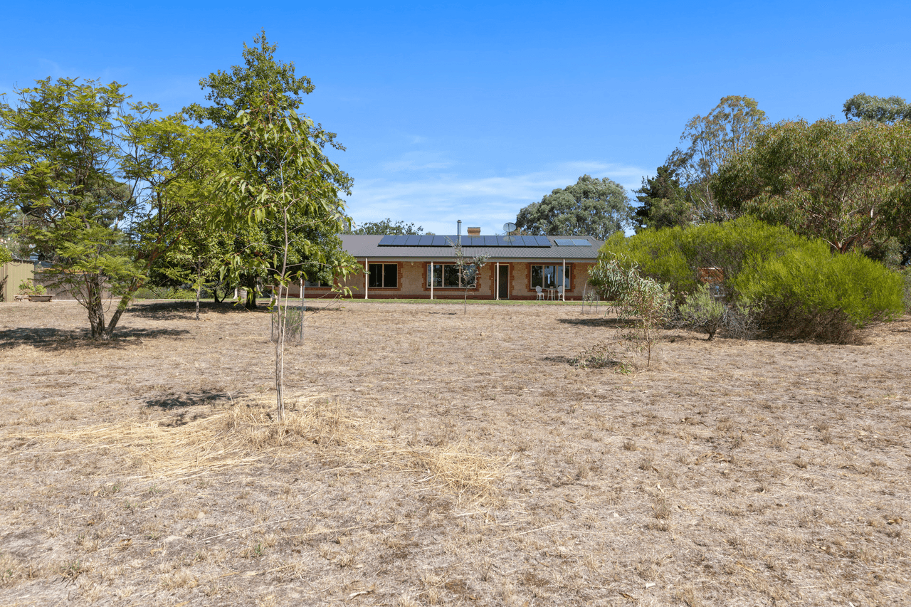 99 Tolley Road, Nuriootpa, SA 5355