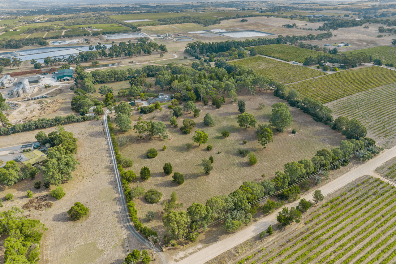 99 Tolley Road, Nuriootpa, SA 5355