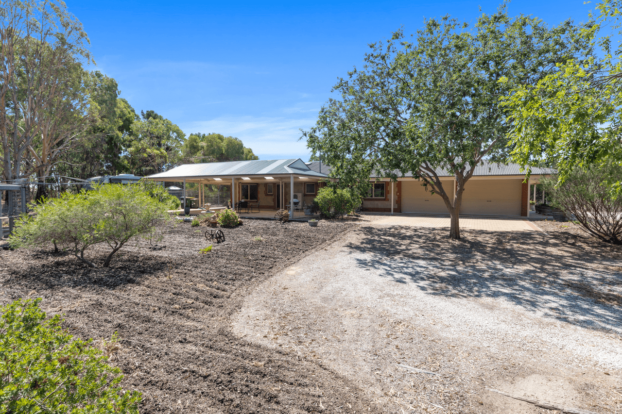 99 Tolley Road, Nuriootpa, SA 5355